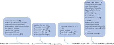 Gut microbiota derived bile acid metabolites maintain the homeostasis of gut and systemic immunity